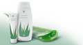 Aloe Vera Basics